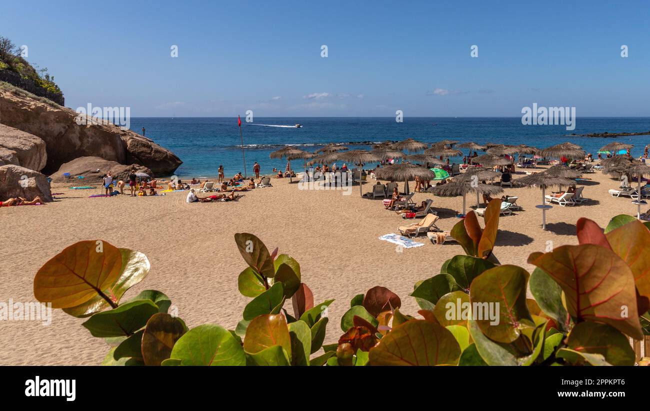 Strandleben in Playa del Duque Stockfoto