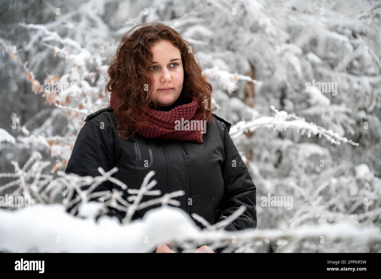 Eine junge Frau mit braunem lockigem Haar und durchdachtem Gesichtsausdruck steht im Winter inmitten eines verschneiten Waldes Stockfoto