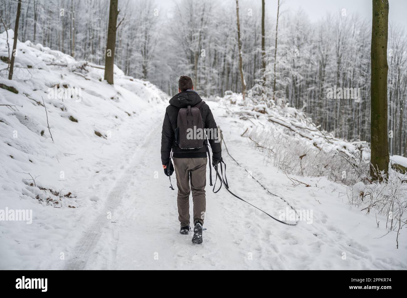 Ein junger Mann mit kurzen braunen Haaren, warmen Kleidern und Rucksack geht im Winter mit seinem grauen akita inu Hund im Wald spazieren, mit viel Schnee, Rückansicht Stockfoto
