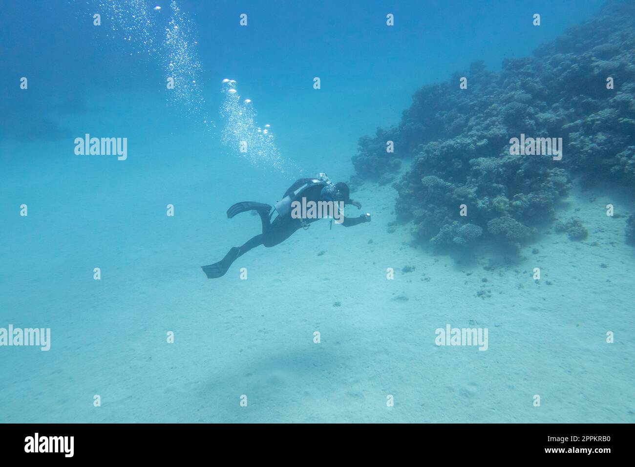 Einzeltaucher mit der Ausrüstung über dem Korallenriff auf dem sandigen Grund des tropischen Meeres, Unterwasserlandschaft Stockfoto