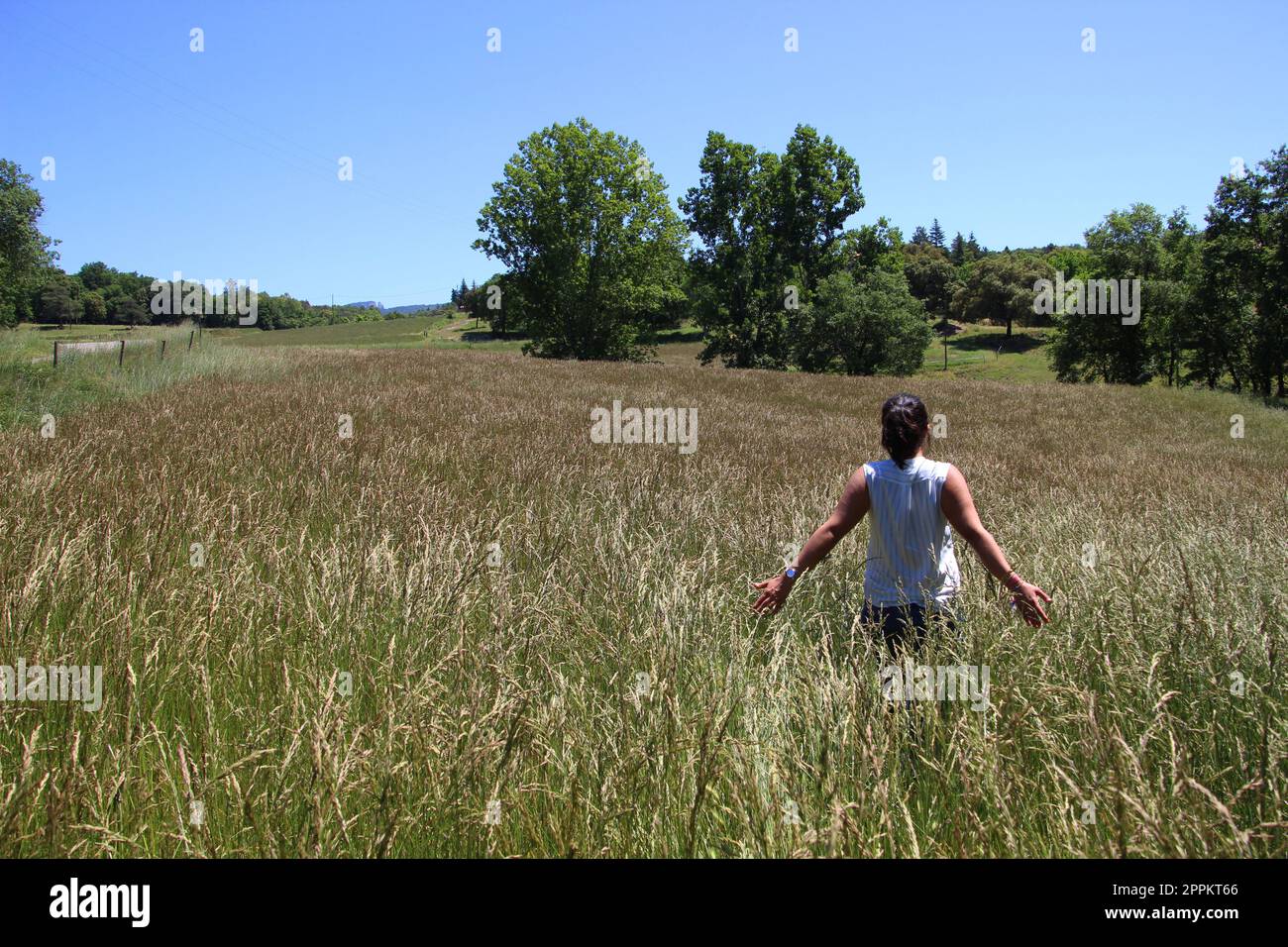 Frau auf gelber Wiese Stockfoto