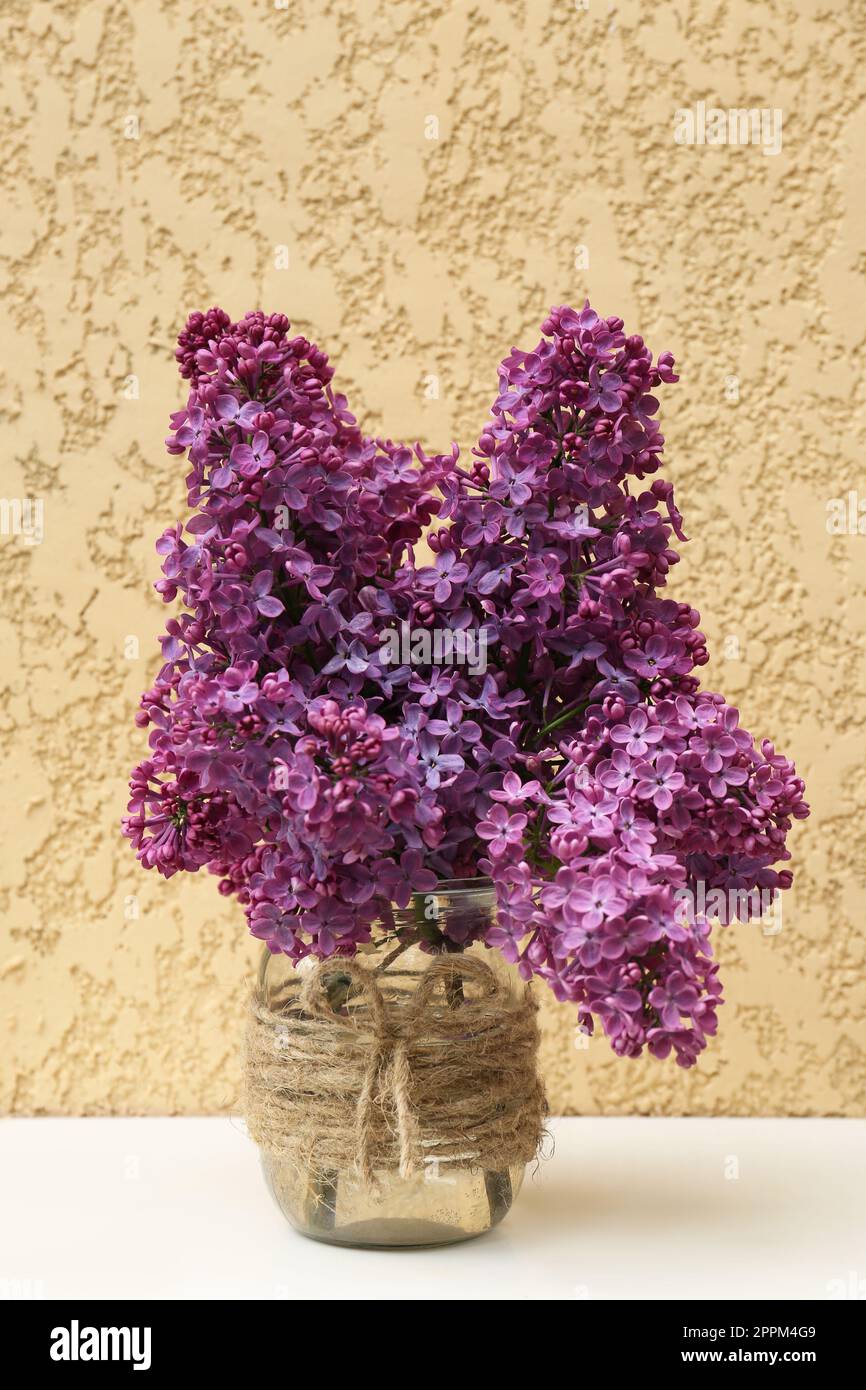 Wunderschöne Fliederblumen im Glasgefäß an der beigefarbenen Wand Stockfoto