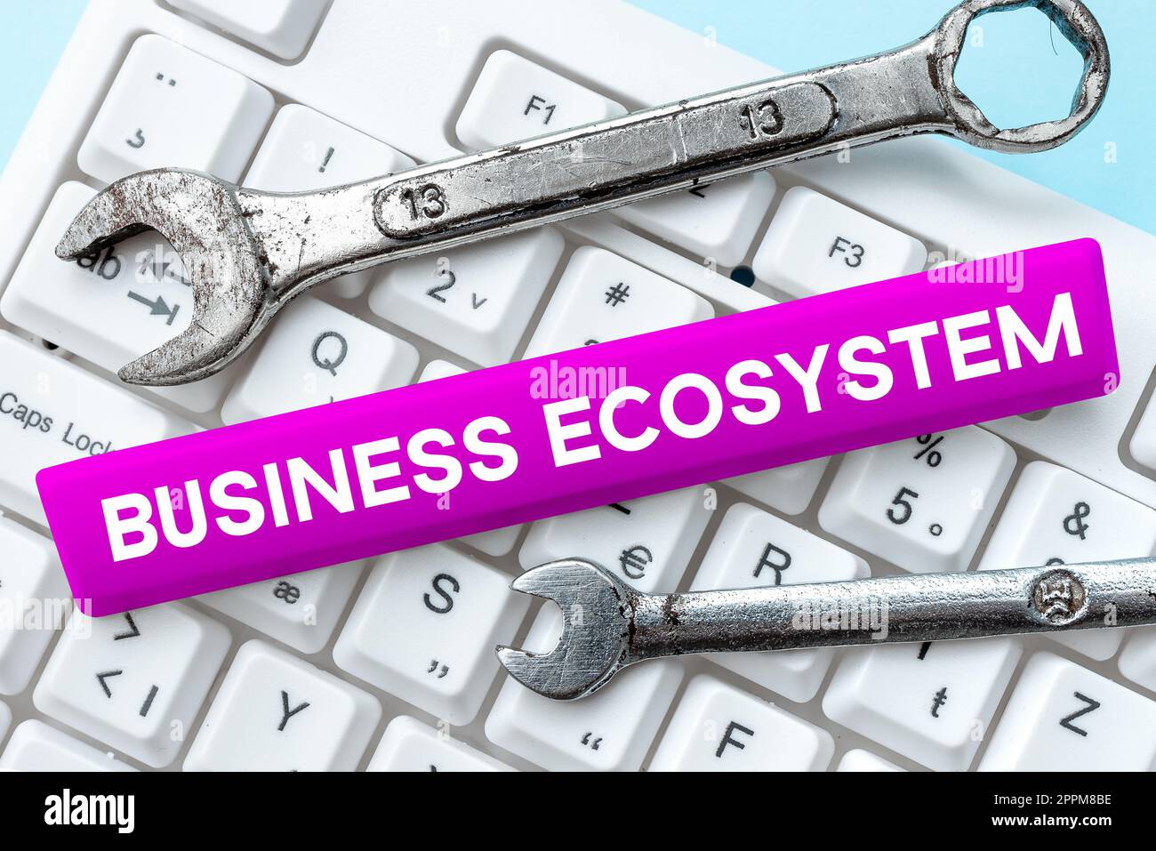 Textunterschrift zur Darstellung des Business Ecosystems. Geschäftskonzept entwickeln und implementieren Sie Wachstumschancen für das Unternehmen Stockfoto