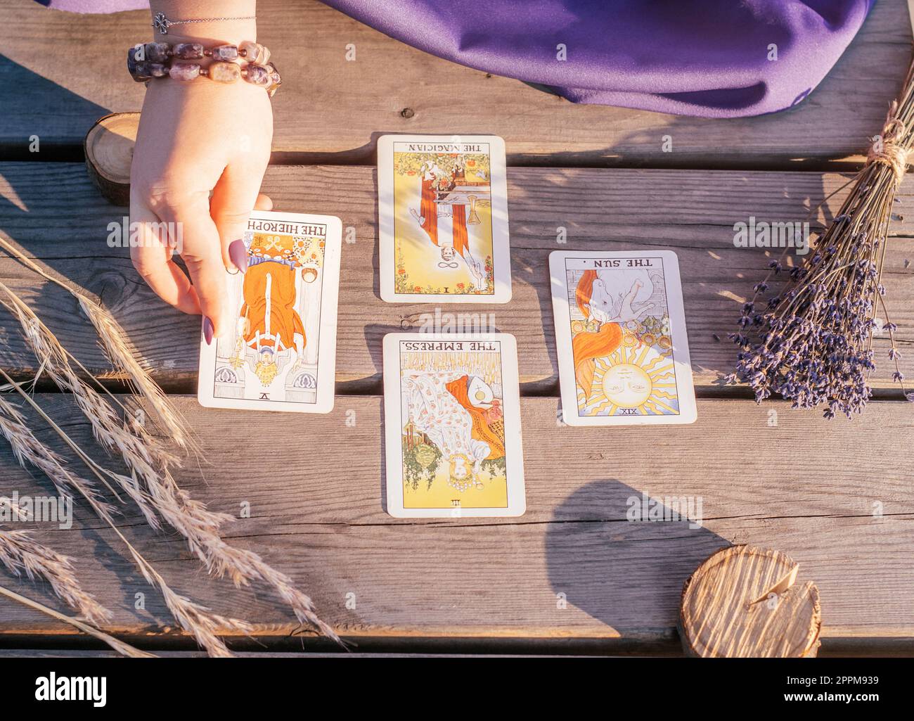 Die Hand einer Frau mit lila Nägeln legt eine von vier Tarot-Karten auf einer Holzfläche neben Stacheln und Lavendel Stockfoto