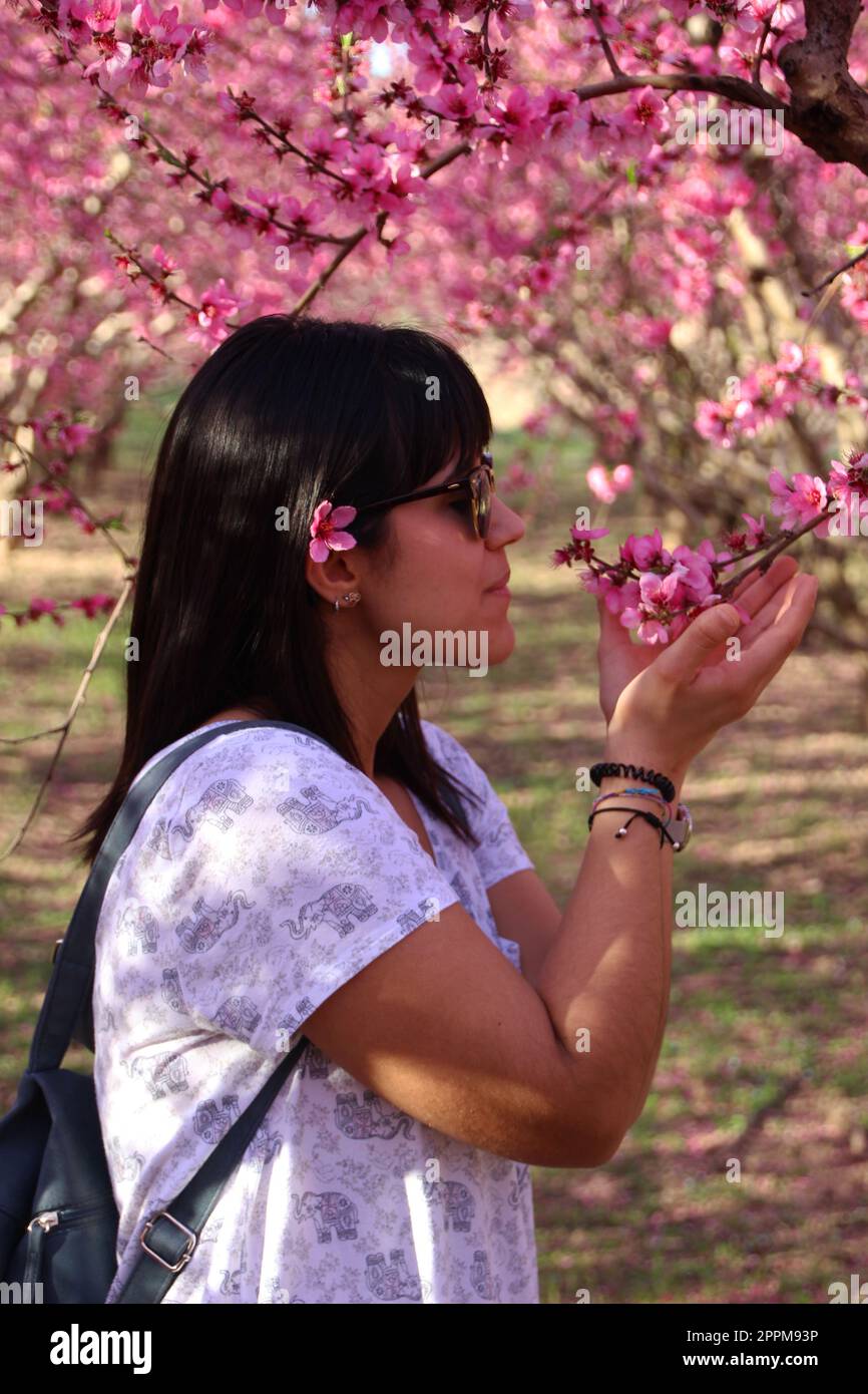 Die Frau riecht die hübschen pinkfarbenen Pfirsichblüten. Stockfoto