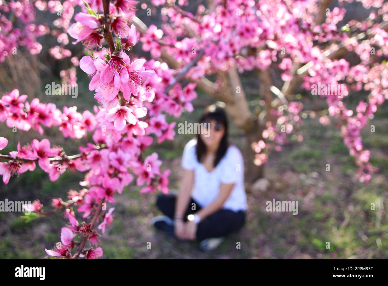 Gesicht einer jungen, schönen Frau mit pinkfarbenen Pfirsichblumen. Stockfoto