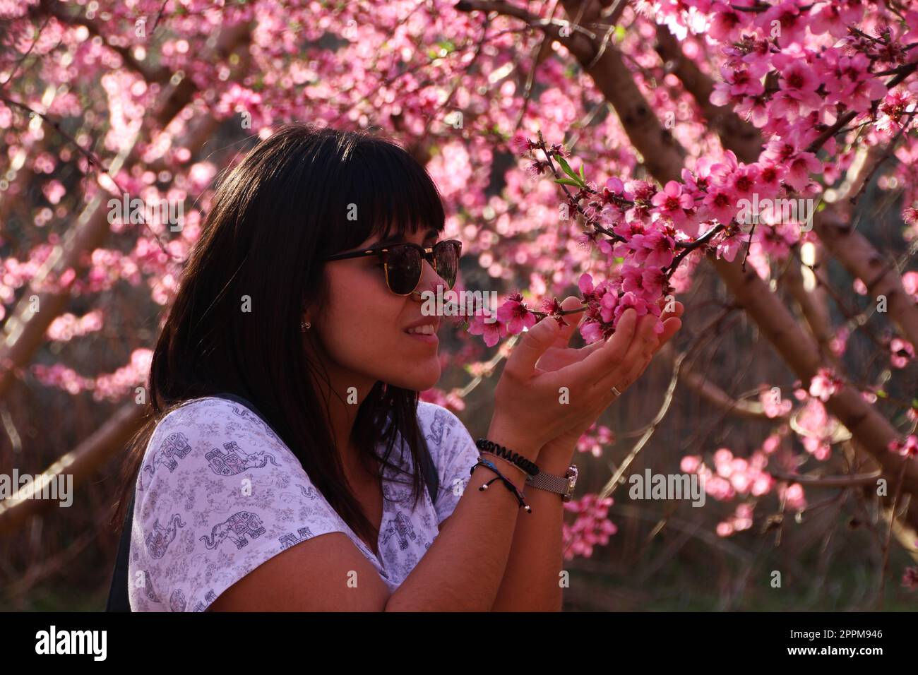 Die Frau riecht die hübschen pinkfarbenen Pfirsichblüten. Stockfoto