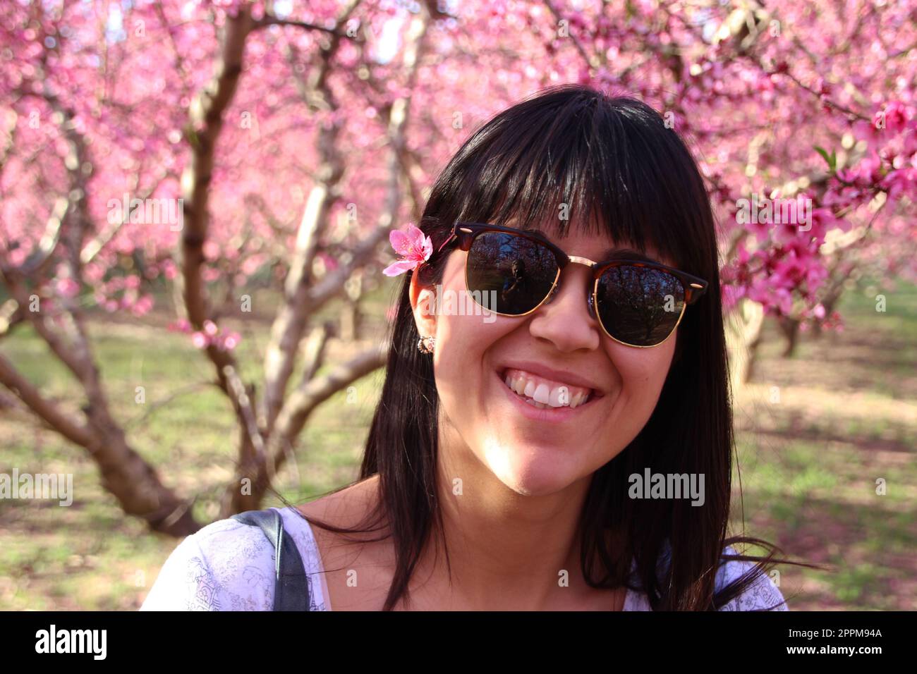 Gesicht einer jungen, schönen Frau mit pinkfarbenen Blumen, Pfirsichbaum im Haar. Stockfoto