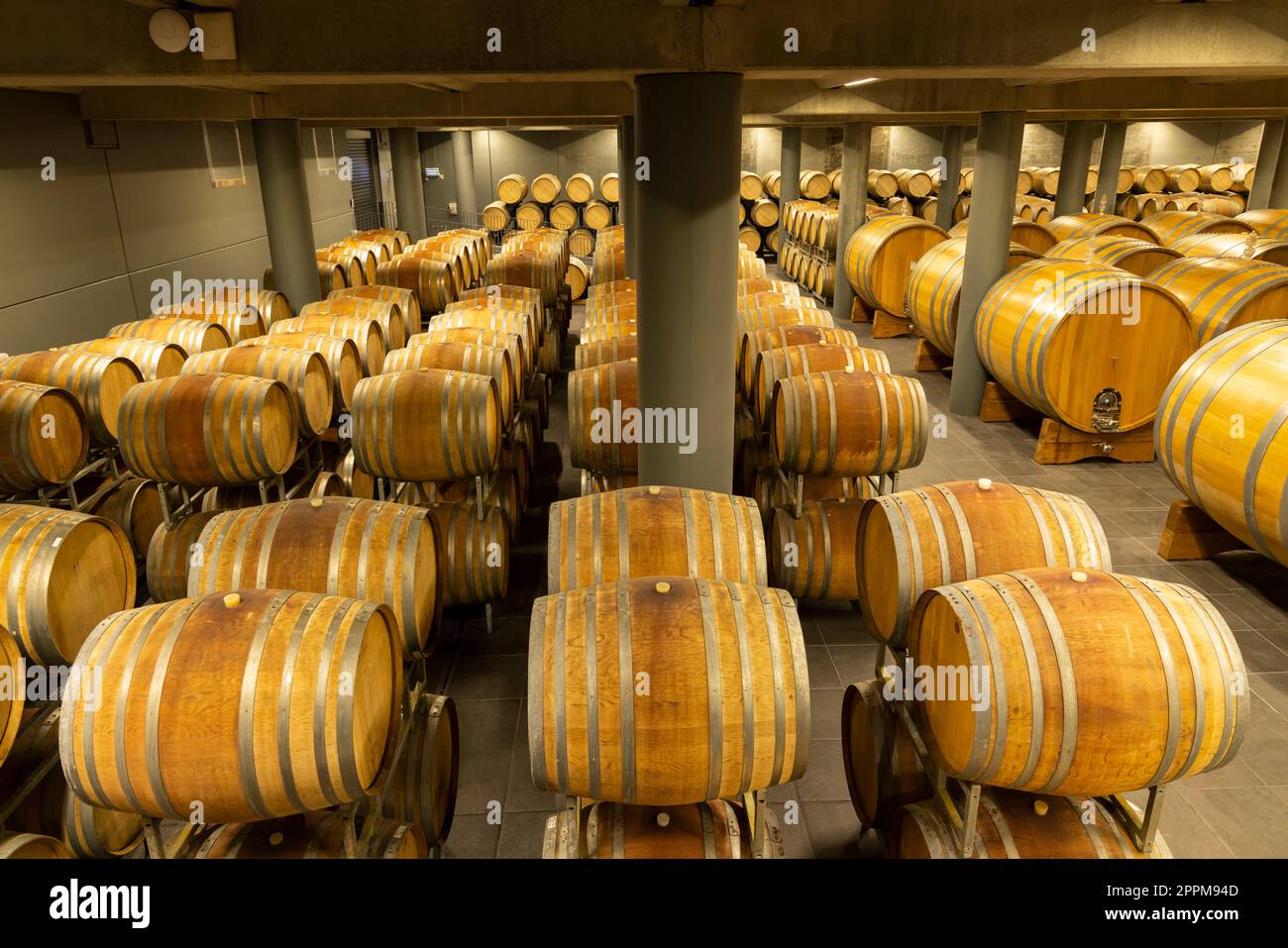 Weinkeller voller Holzfässer in Barolo, Piemont, Italien Stockfoto