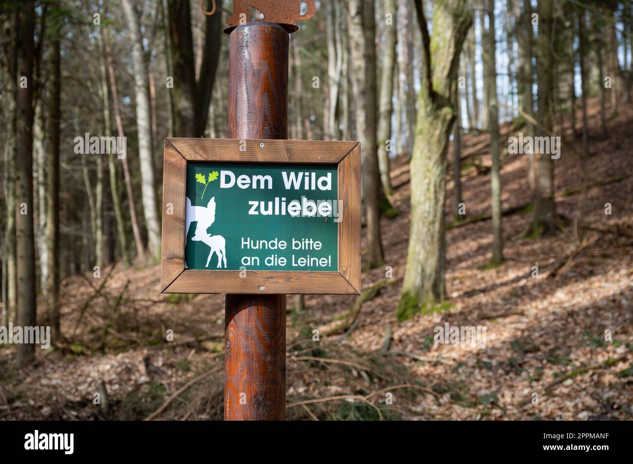 Deutsches Schild an einem Wildpark um der Wildnis willen, bitte halten Sie die Hunde an der Leine Stockfoto