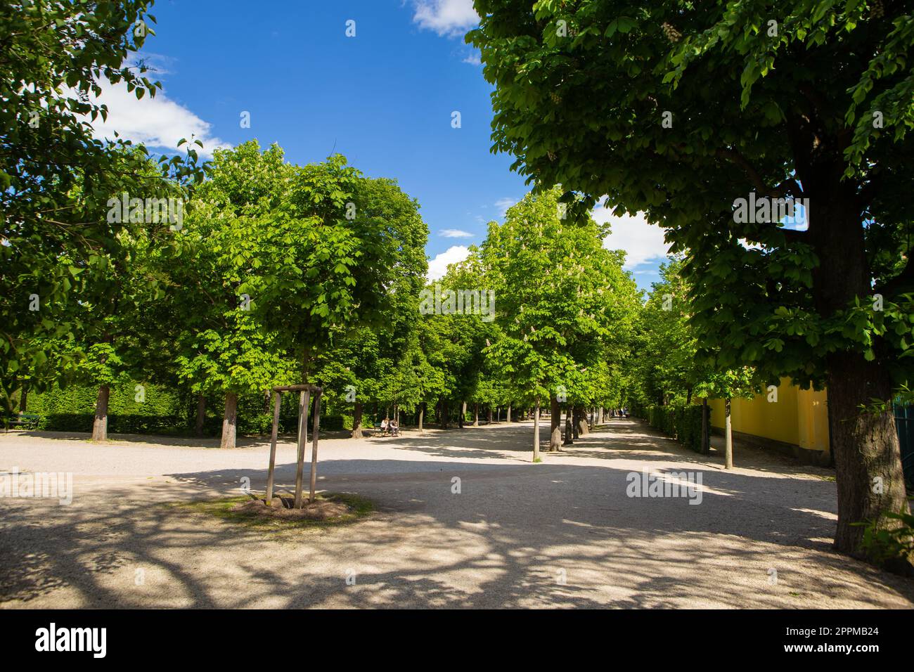 Ein schöner sonniger Tag im berühmten Schloss Schönbrunn in Wien. Stockfoto