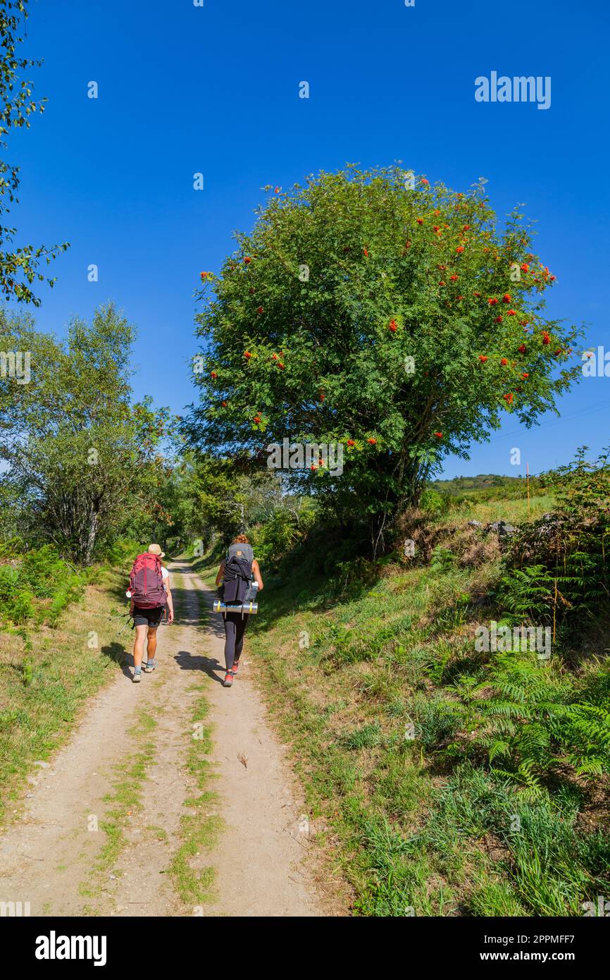 Pilger gehen am Camino de Santiago entlang Stockfoto