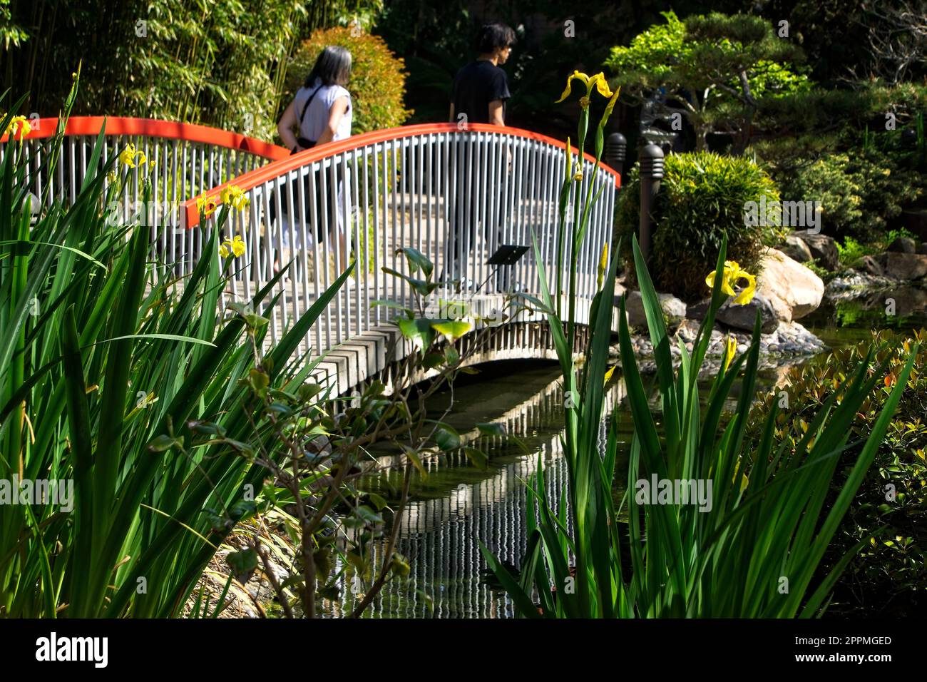 Terrasse Lagoon San Diego Zoo Stockfoto
