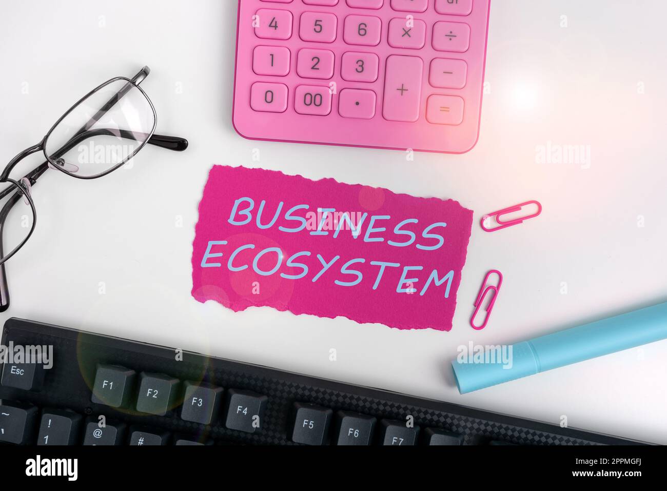 Konzeptionelle Darstellung des Business Ecosystems. Geschäftsidee entwickeln und implementieren Wachstumschancen für das Unternehmen Stockfoto