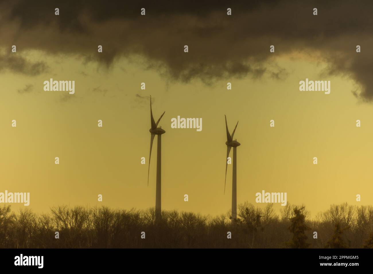 Zwei Windmühlen in einer flachen Landschaft mit dunklen Regenwolken und gelber Farbe Stockfoto