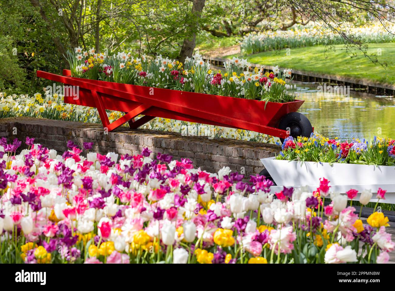 Keukenhof Blumengarten - größter Tulpenpark der Welt, Lisse, Niederlande Stockfoto