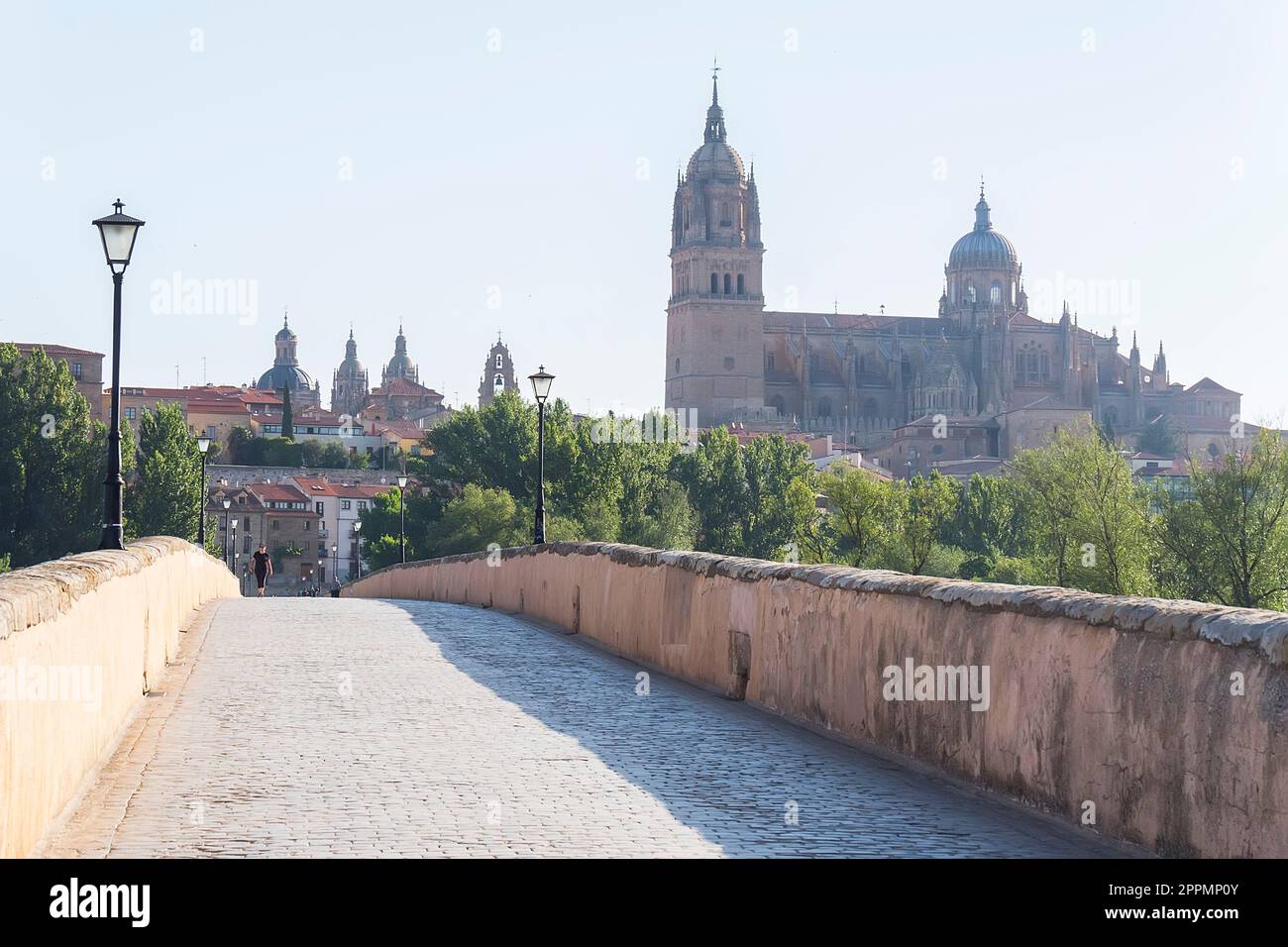 Römische Brücke über den Fluss Tormes und im Hintergrund die Kathedrale von Salamanca (Spanien) Stockfoto