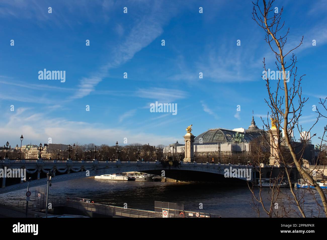 Brücke von Alexandre III Brücke 1896 über die seine. Dekoriert mit kunstvoll verzierten Jugendstillampen und Skulpturen. Paris. Frankreich. Stockfoto