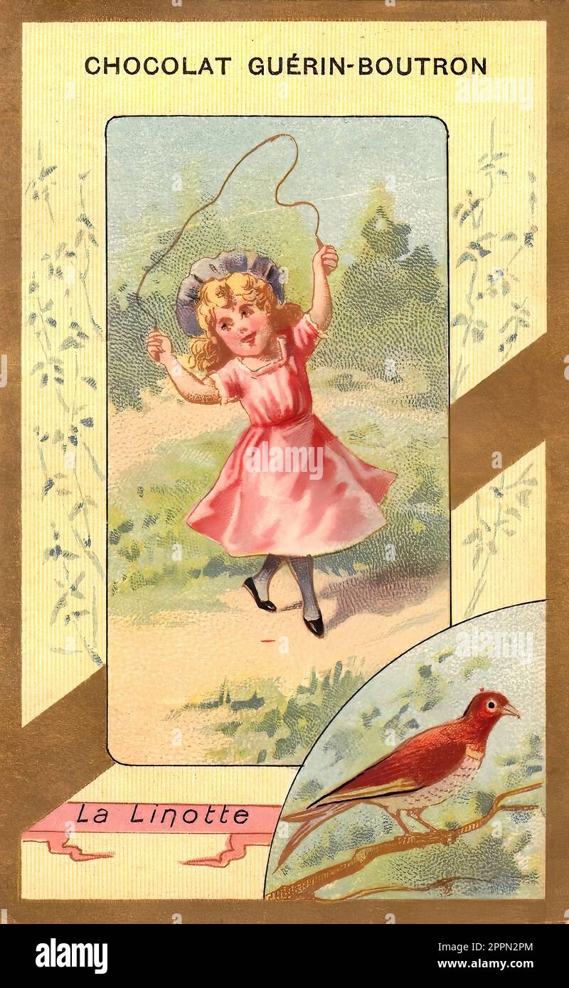 Die Linnet - Vintage French Tradecard - Belle Epoque Ära Stockfoto