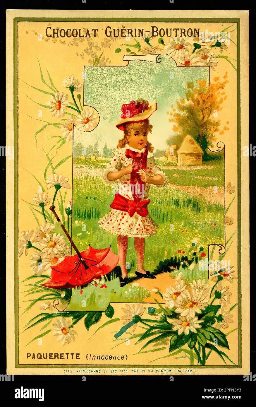 Sprache der Blumen - Daisy - Vintage French Tradecard - Belle Epoque-Ära Stockfoto