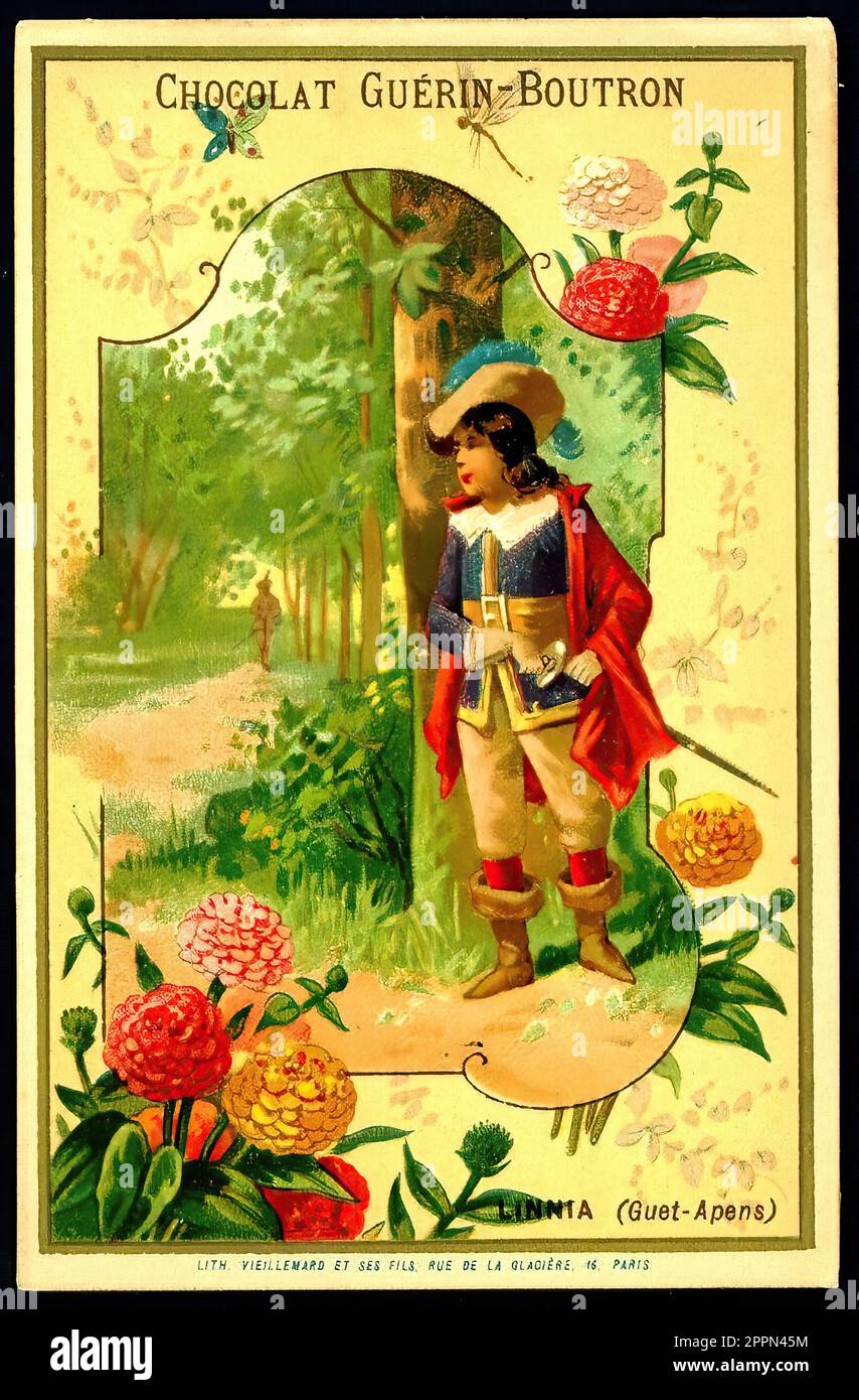Sprache der Blumen - Linnia - Vintage French Tradecard - Belle Epoque-Ära Stockfoto