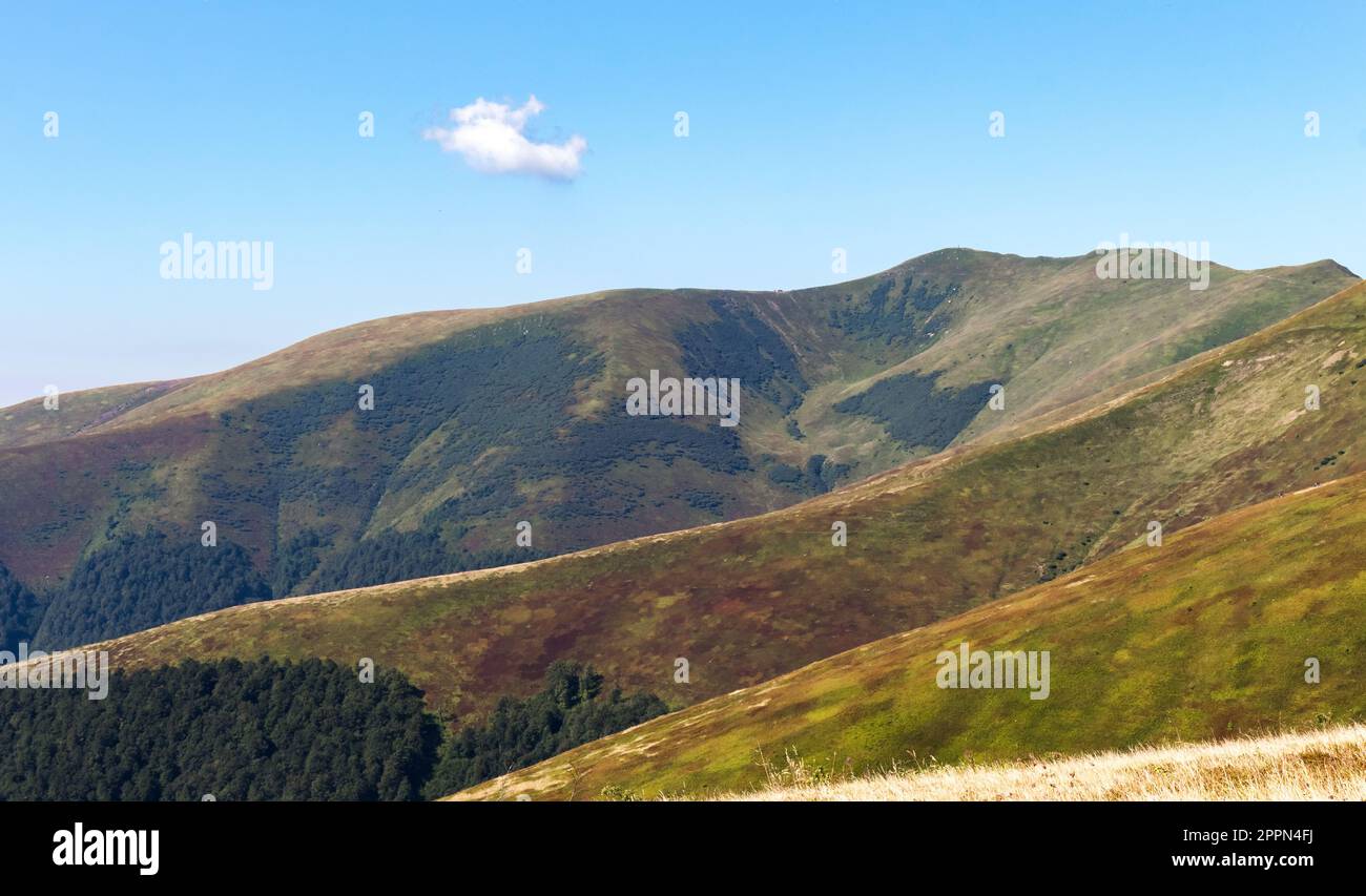 Sommerlandschaft in den karpaten, Bergkette, sonniger Tag Stockfoto