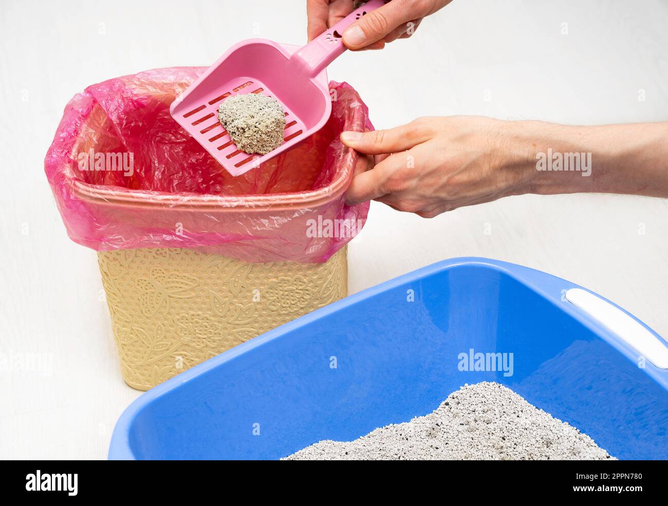 Der Mann reinigt zu Hause eine Katzenschale mit nichtnatürlichen Mineralien und wirft nicht biologisch abbaubare Bentonit-Klumpen in einen Kunststoffmülleimer. Umwelt Stockfoto
