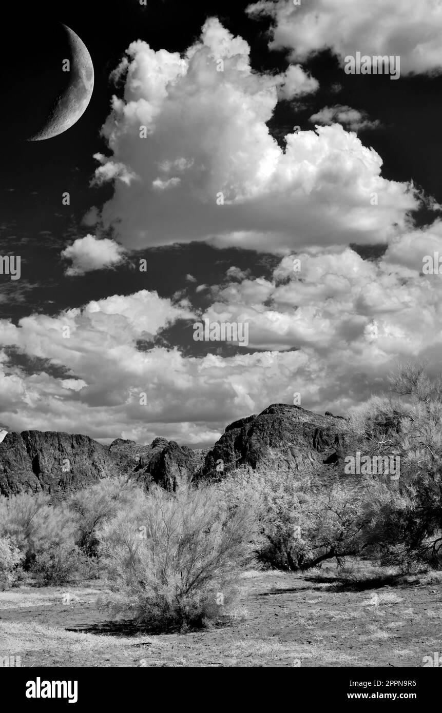 Die Sonora-Wüste und der Mond im Zentrum von Arizona, USA Stockfoto