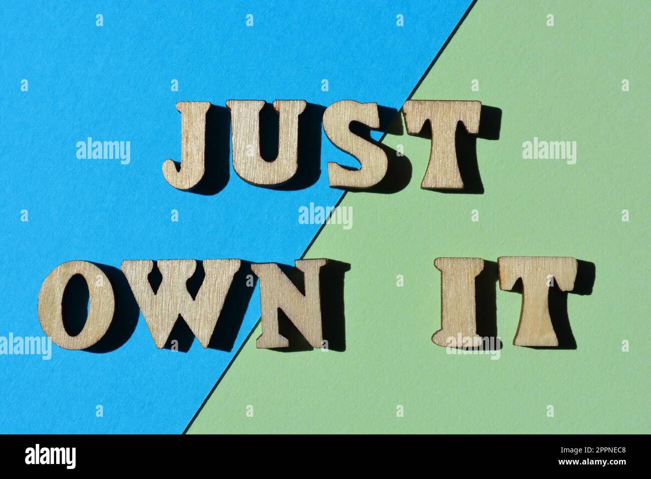 Just Own IT, Wörter in hölzernen Buchstaben isoliert auf dem Hintergrund Stockfoto