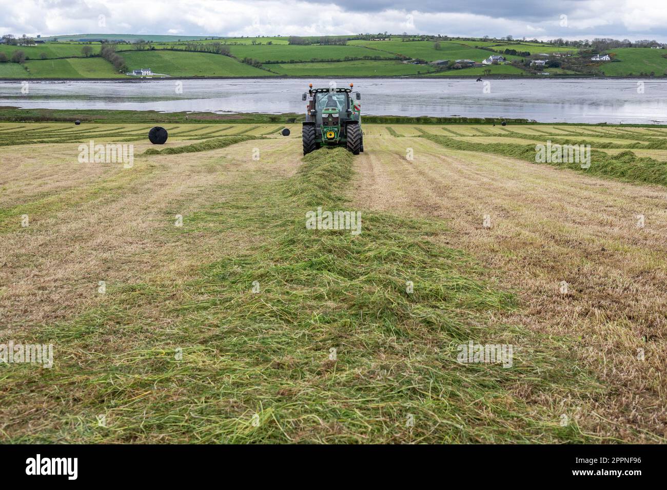 Timoleague, West Cork, Irland. 24. April 2023. Richard Fleming von Fleming Agricultural Contractors LTD baut Silage für den Milchbauern Finbarr Griffin aus Timoleague und verwendet dabei eine brandneue Fusion 4-Ballenpresse und einen John Deere 6150R-Traktor. Kredit: AG News/Alamy Live News. Stockfoto