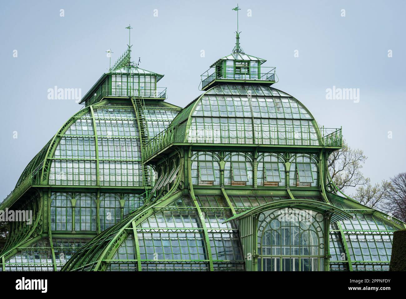 Die Kuppeln des Palmenhauses aus Schmiedeeisen, Gusseisen und Glas im Schlosspark Schönbrunn unter grauem Himmel, Wien, Österreich Stockfoto
