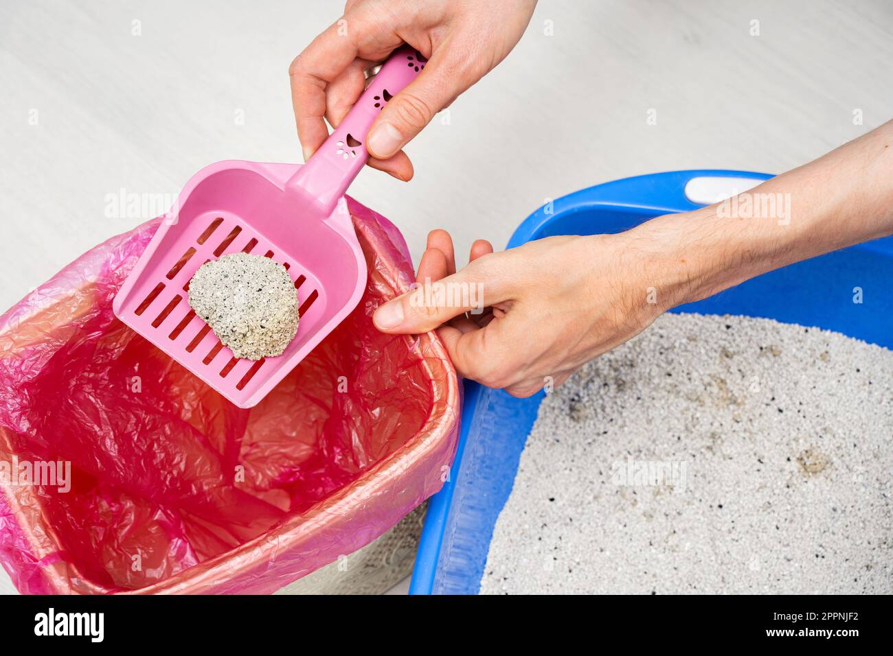 Der Mann reinigt zu Hause eine Katzenschale mit nichtnatürlichen Mineralien und wirft nicht biologisch abbaubare Bentonit-Klumpen in einen Kunststoffmülleimer. Umwelt Stockfoto