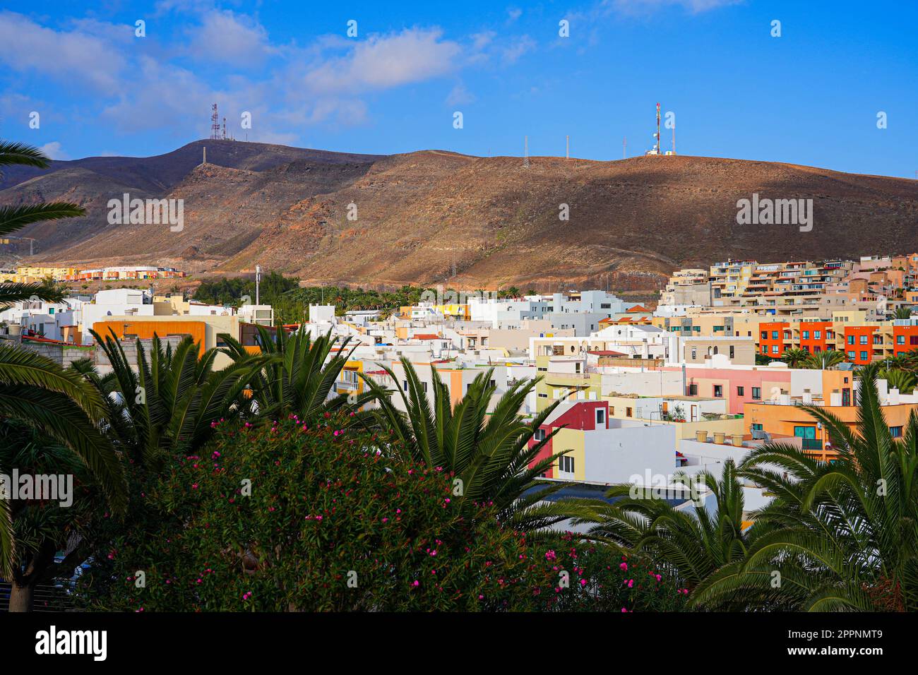 ferienhäuser auf fuerteventura mit pool