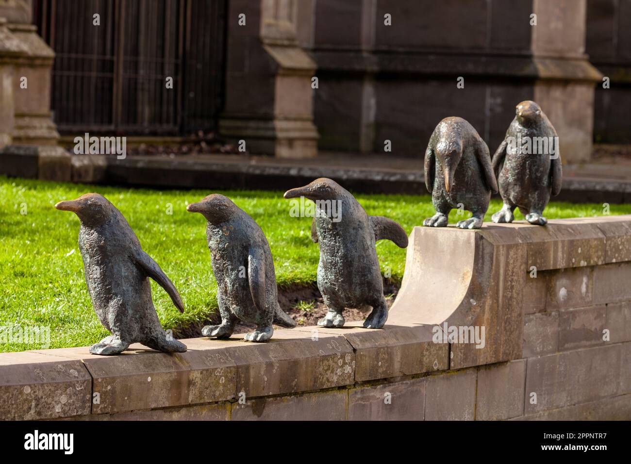 Marsch der Pinguinskulptur von Angela Hunter in Dundee Stockfoto