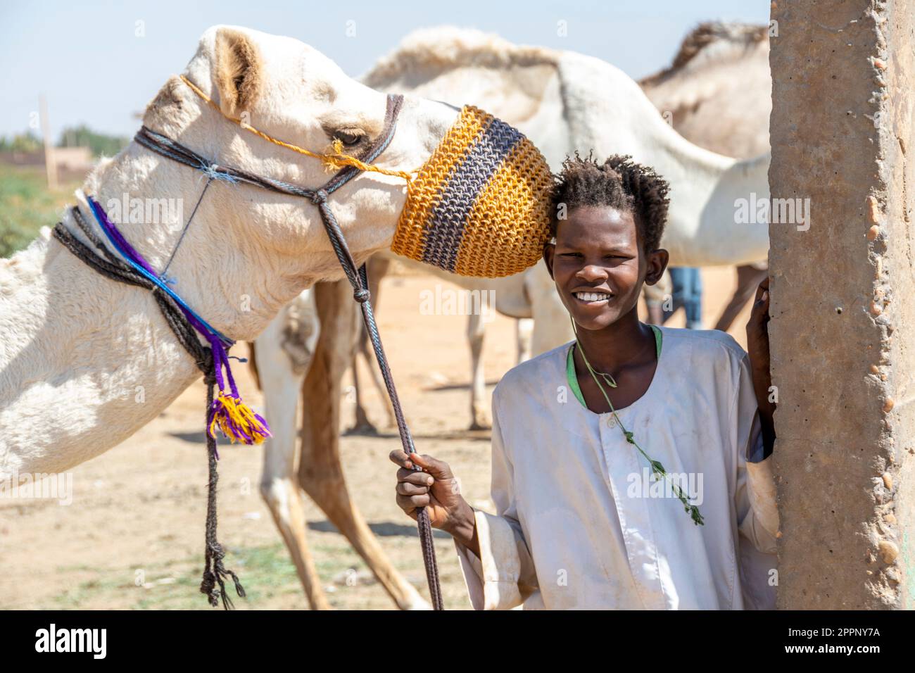 Ein Junge mit seinem Kamel, Omdurman, Sudan Stockfoto