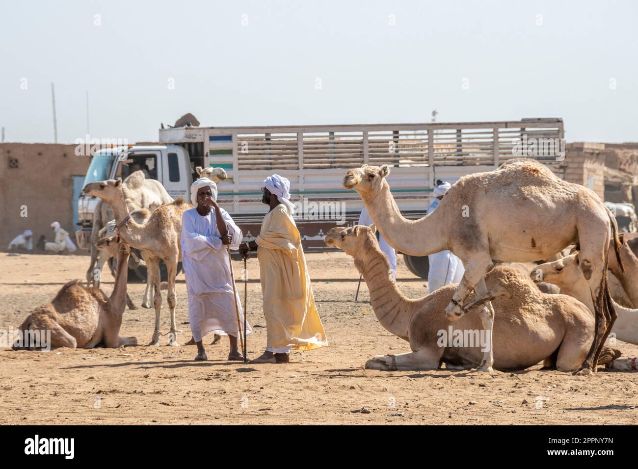 Männer unterhalten sich auf dem Al-Moheli Kamelmarkt, Omurdaman, Sudan Stockfoto