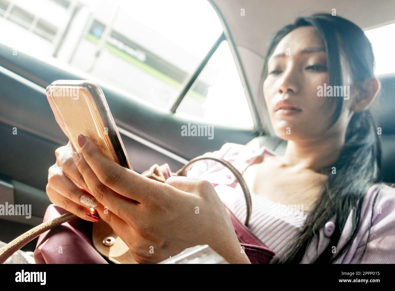 Eine junge Frau beobachtet ihr Handy, während sie im fahrenden Auto sitzt, konzentriert sich auf ihr Handy Stockfoto