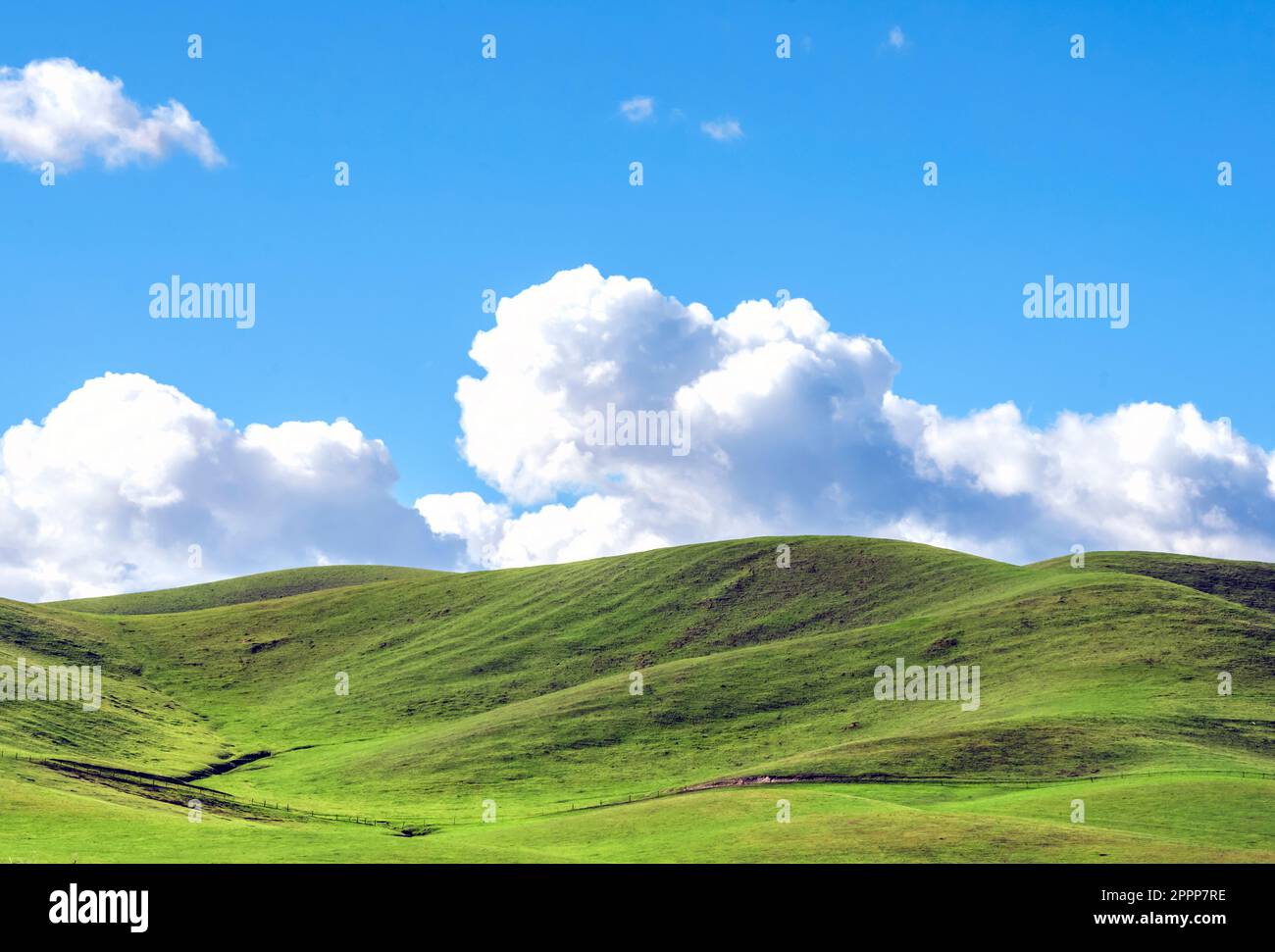 Blick auf das grüne San Joaquin Valley, Kalifornien, USA Stockfoto