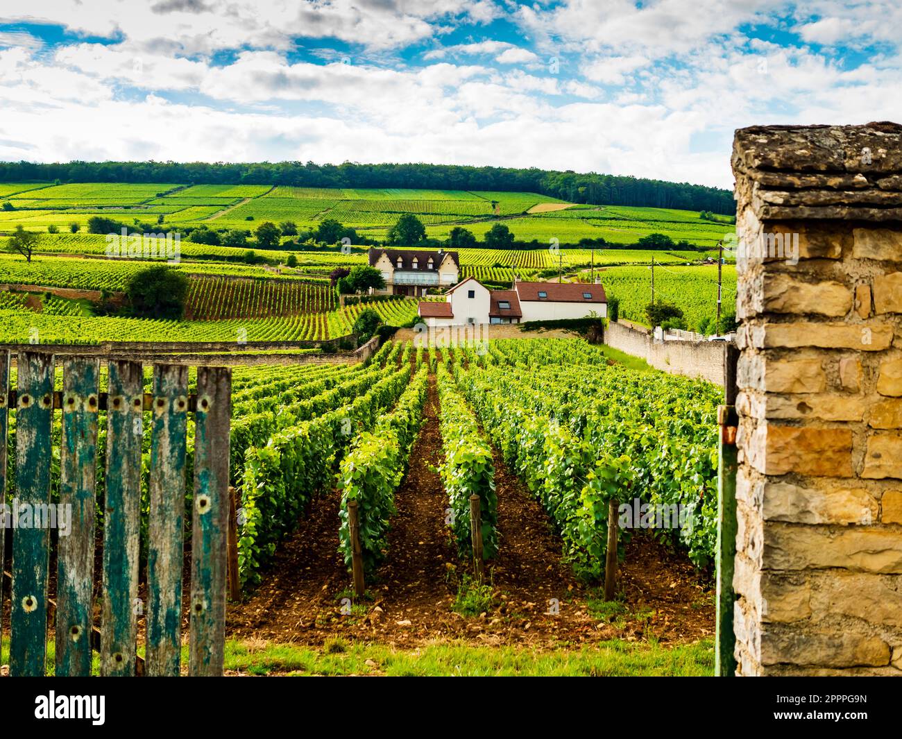 Beeindruckender Eintritt in ein typisch burgundianisches Schloss mit Weinbergen in einer üppigen Hügellandschaft, Beaune, Frankreich Stockfoto