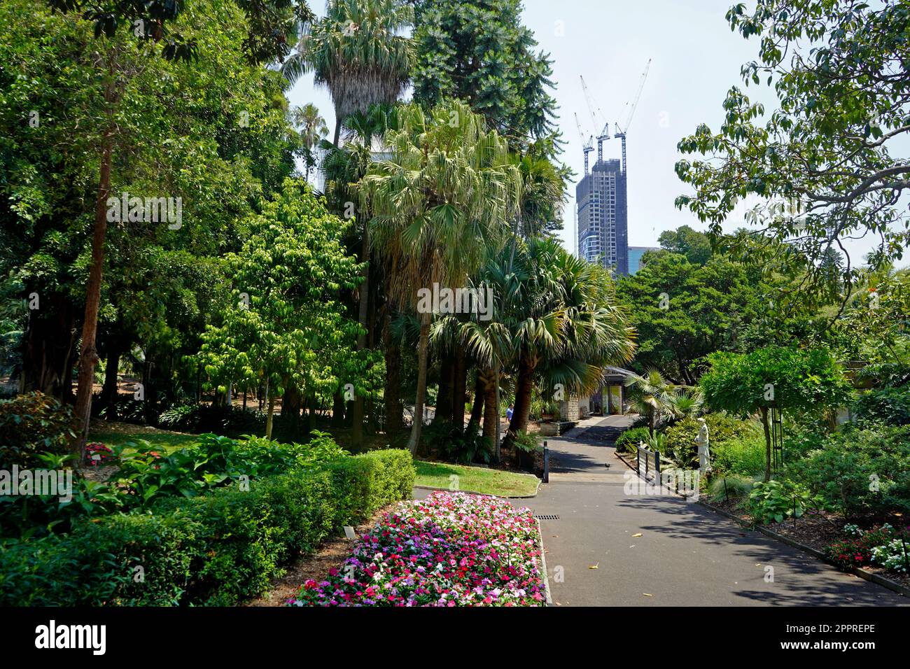 Der königliche botanische Garten in Sydney. Stockfoto