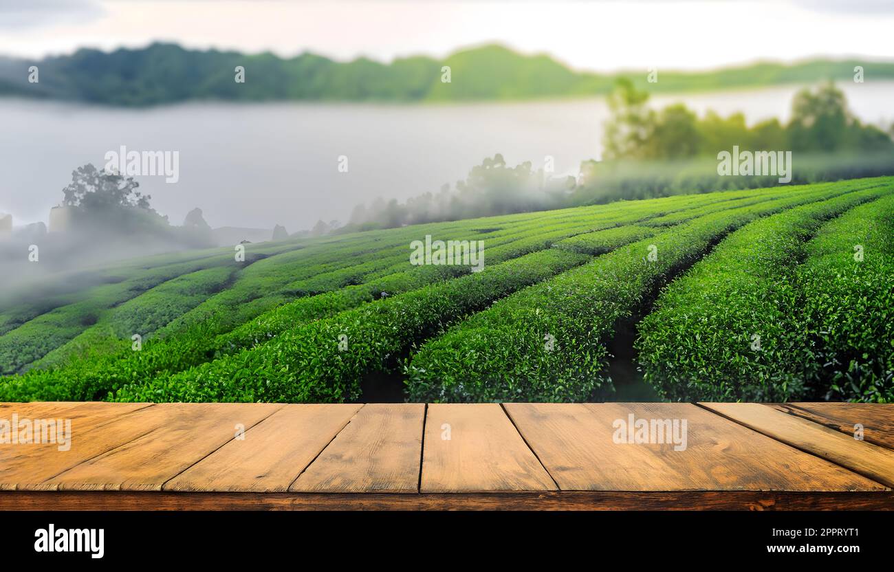 Leere Tischplatte aus Holz und Hintergrund für Teefarm. Modell zur Anzeige des Produkts. Stockfoto