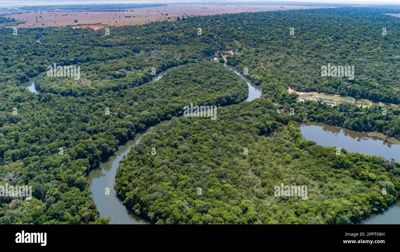 Luftaufnahme eines sich schlängelnden Amazonas-Zuflusses, landwirtschaftliches Land am Horizont Amazonischer Regenwald, San Jose do Rio Claro, Mato Grosso Stockfoto
