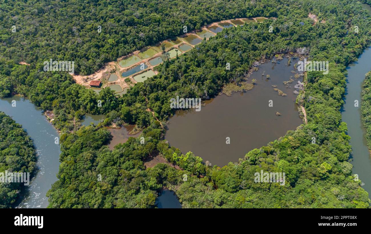 Luftaufnahme auf einen gewundenen Amazonas-Zufluss und Fischseen im Amazonas-Regenwald, San Jose do Rio Claro, Mato Grosso Stockfoto