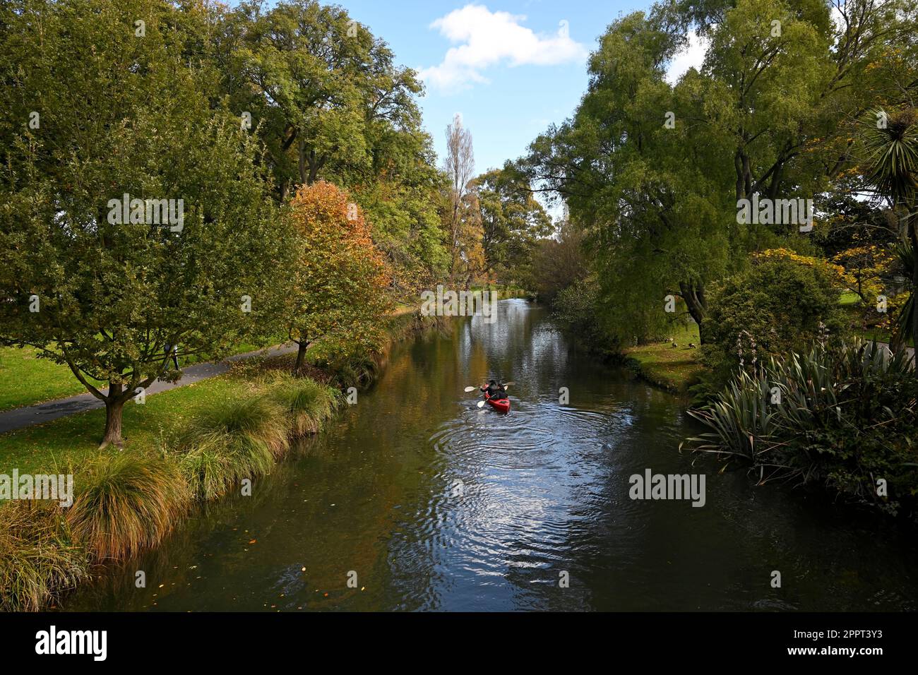 Christchurch, Neuseeland - 24. April 2023; Bootsfahrten auf dem Avon im Herbst, Christchurch, Neuseeland Stockfoto