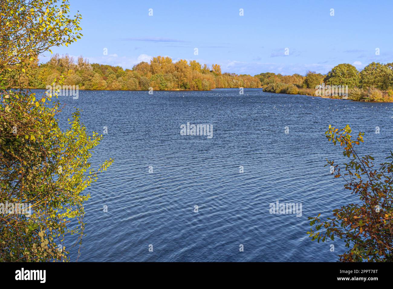 Dinton Alamens Country Park, ein Landschaftspark in der Zivilgemeinde St. Nichola Hurst, im Bezirk Wokinghamvin, der englischen Grafschaft von Bergshire Stockfoto