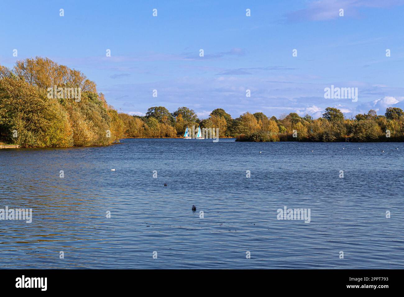 Dinton Alamens Country Park, ein Landschaftspark in der Zivilgemeinde St. Nichola Hurst, im Bezirk Wokinghamvin, der englischen Grafschaft von Bergshire Stockfoto