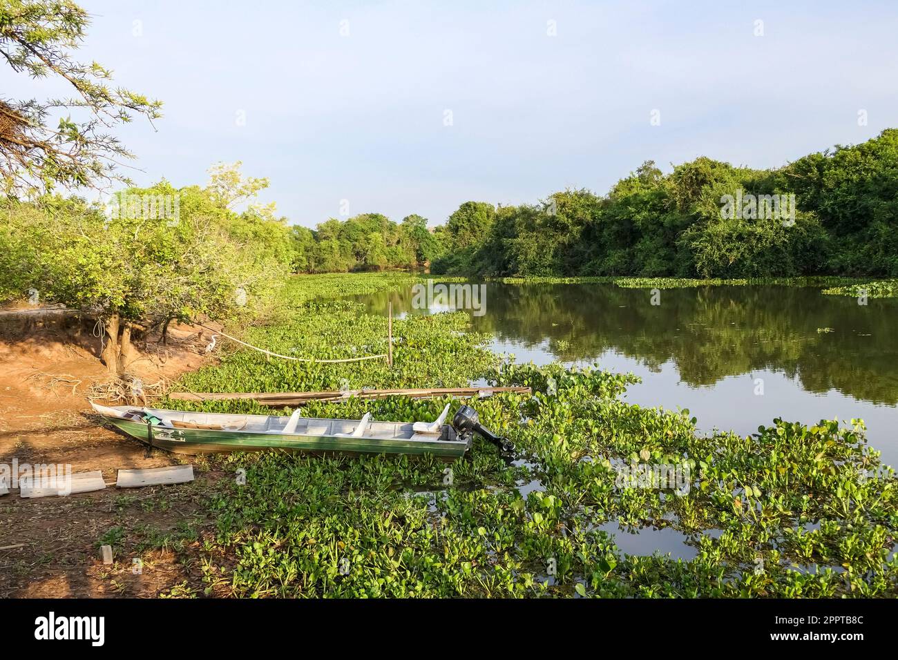 Typischer Fluss Pantanal mit einem Boot am Rand mit Wasserpflanzen und Bäumen im Nachmittagslicht, Mato Grosso, Brasilien Stockfoto