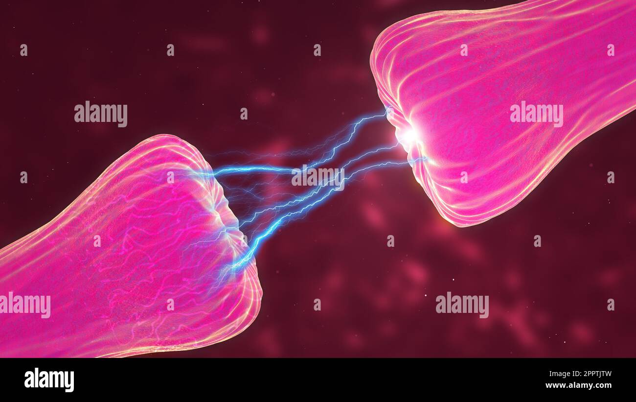 Bewegungssimulation der neuronalen und Synapseaktivität, bei der chemische Botenstoffe oder Neurotransmitter freigesetzt werden. Stockfoto