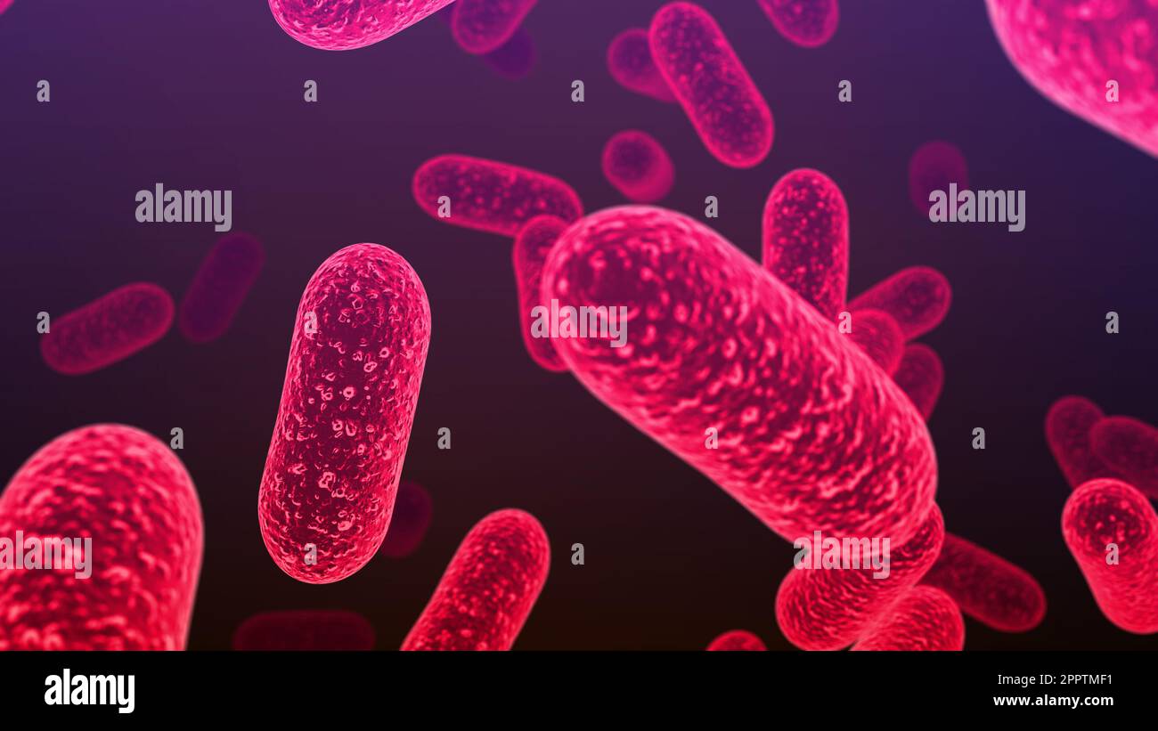 Salmonella-Bakterien. S. typhi, S. typhimurium und andere Salmonellen, stäbchenförmige Bakterien, Erreger von Typhus enterica und lebensmitteltoxische Infektiden Stockfoto