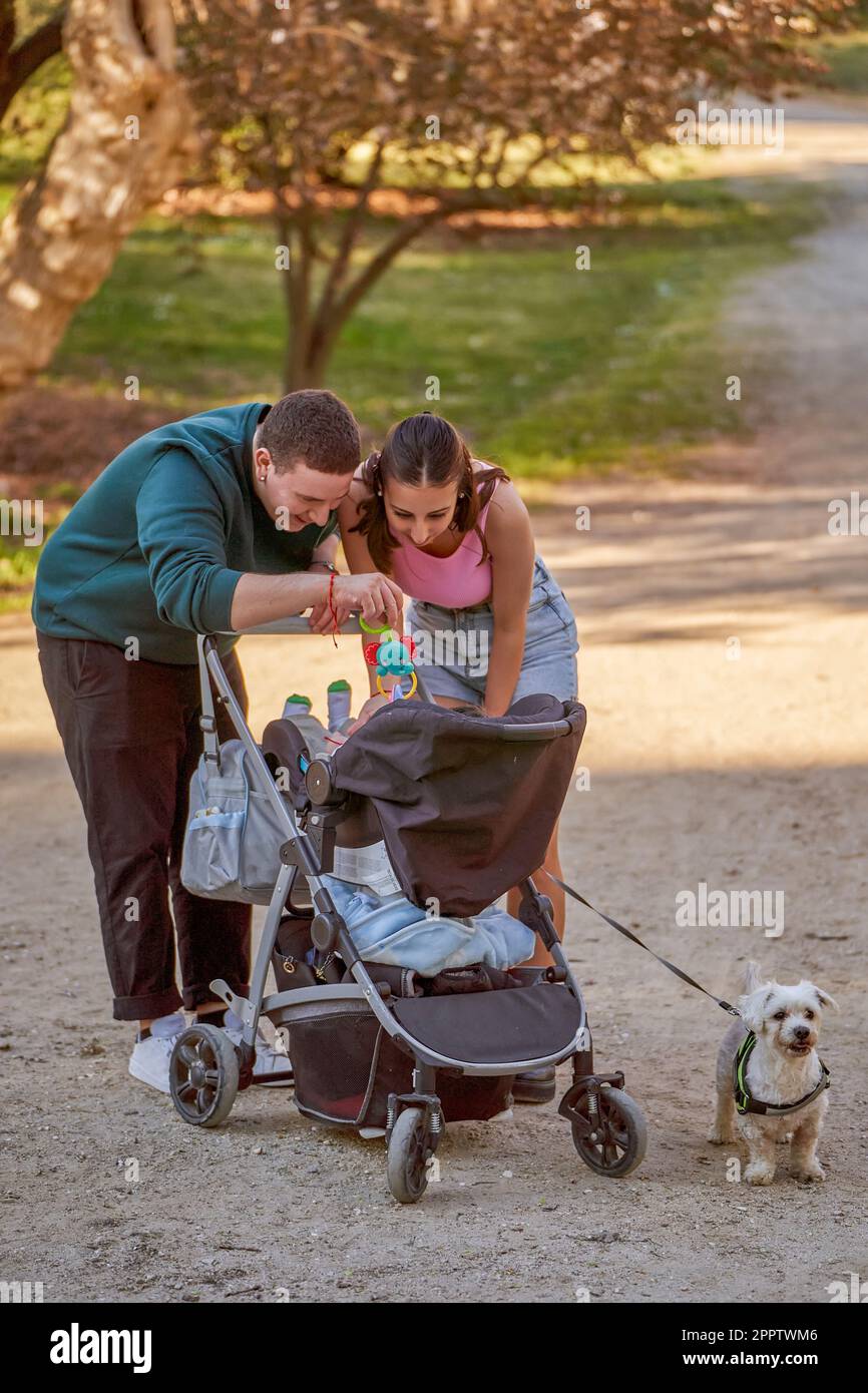 Eine junge Familie verbringt wertvolle Zeit damit, mit ihrem Baby im Kinderwagen zu spielen und mit ihrem kleinen Hund Gassi zu gehen. Stockfoto